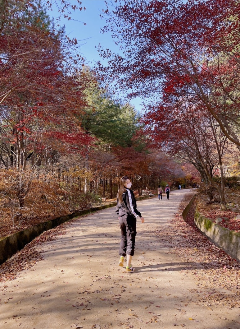 단풍머리미용실 이미지