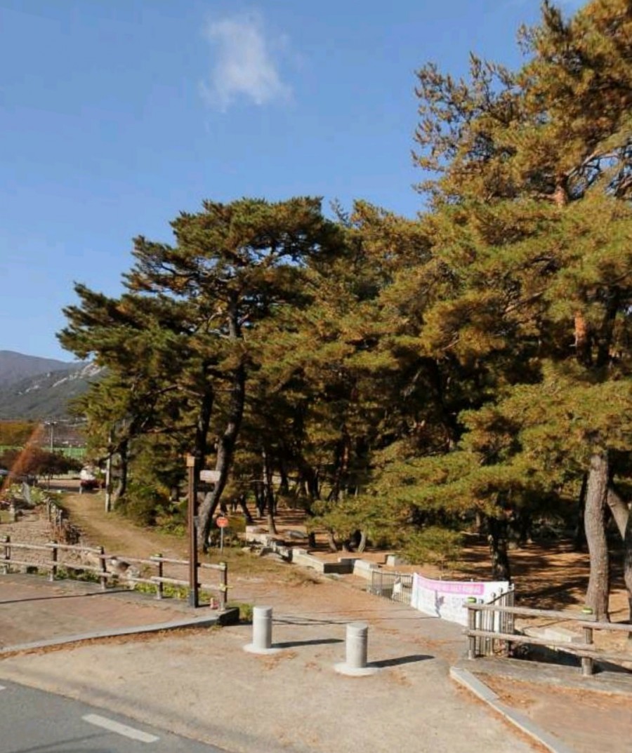 수승대마트 이미지