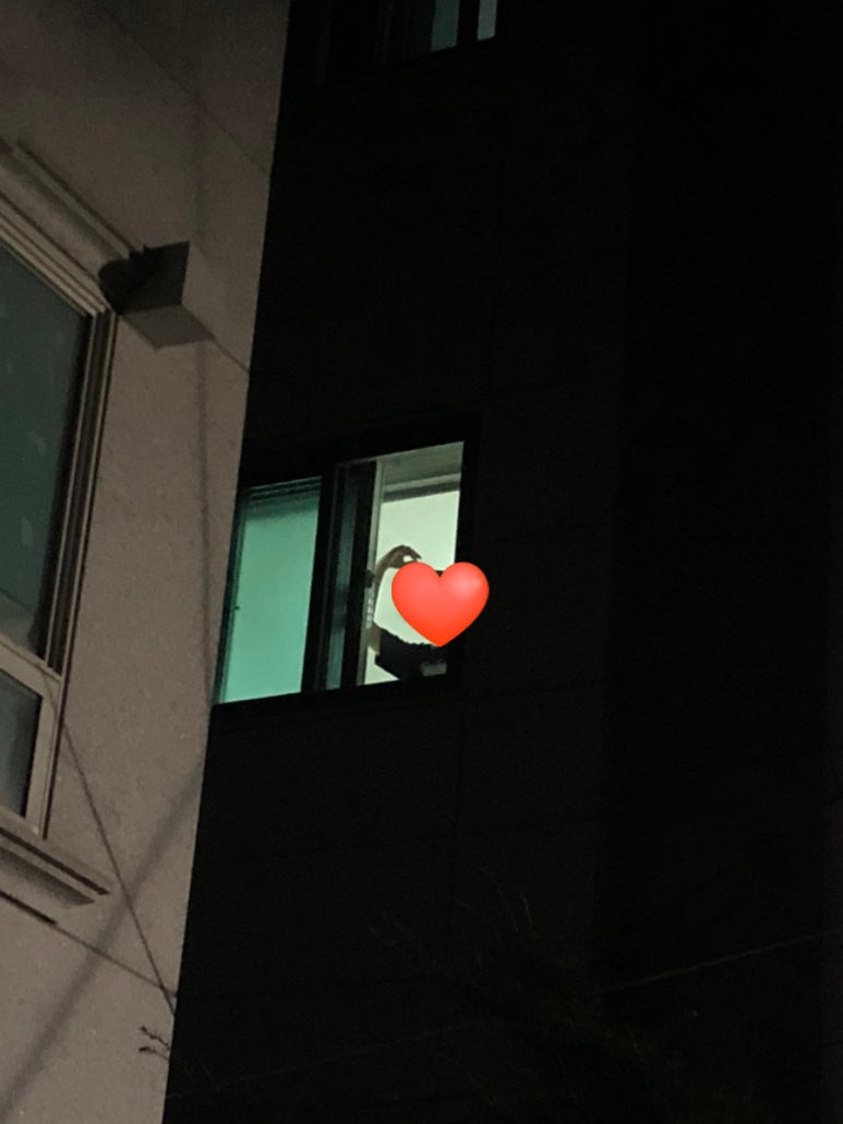 라비앙꼬숑 이미지