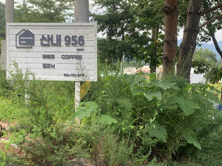 산내956 이미지