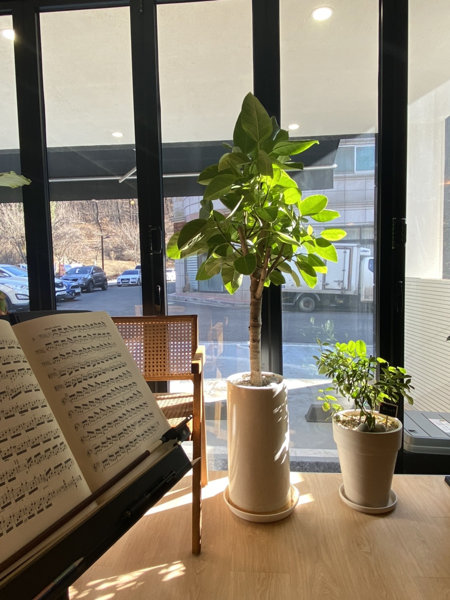 포레음악학원 이미지