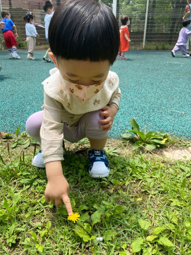 이든샘어린이집 이미지
