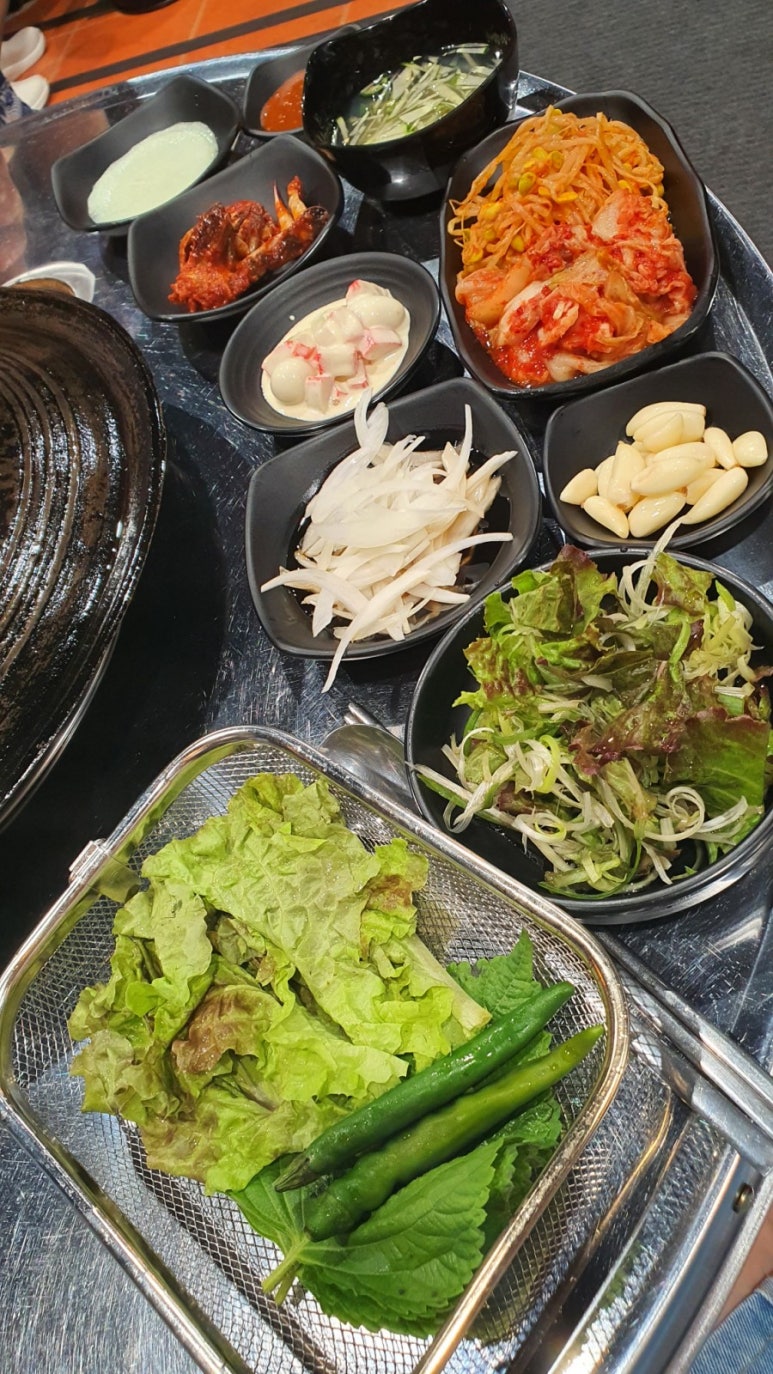니가사는고기 이미지
