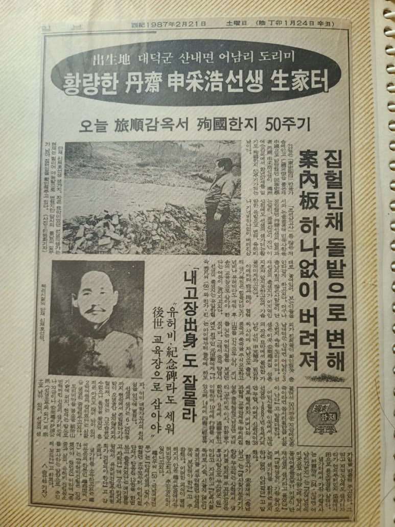 나이테플라워 이미지