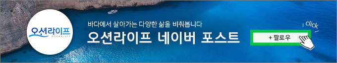예송라이프 이미지