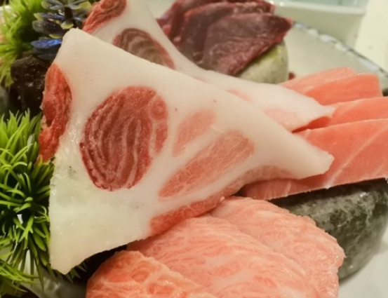 준참치 이미지