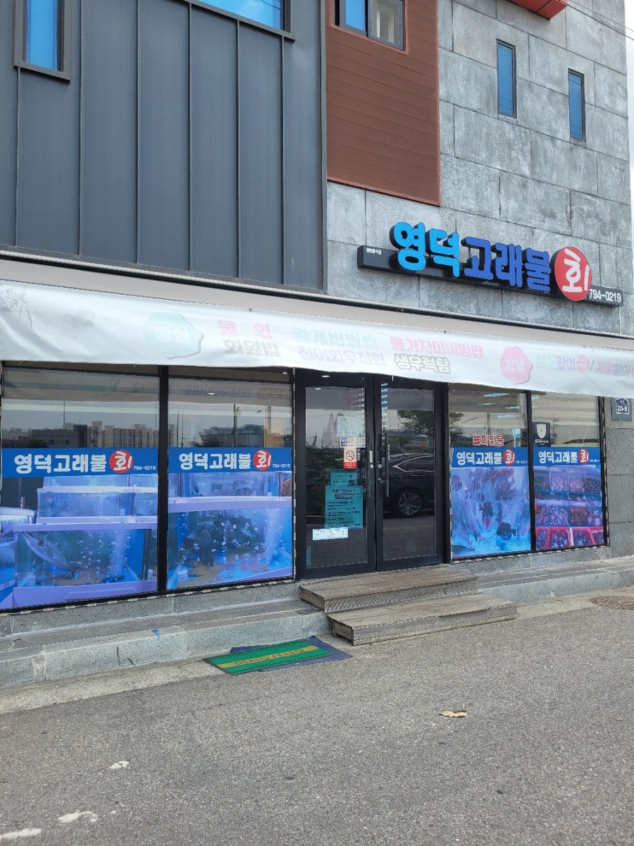 영덕고래불회 이미지