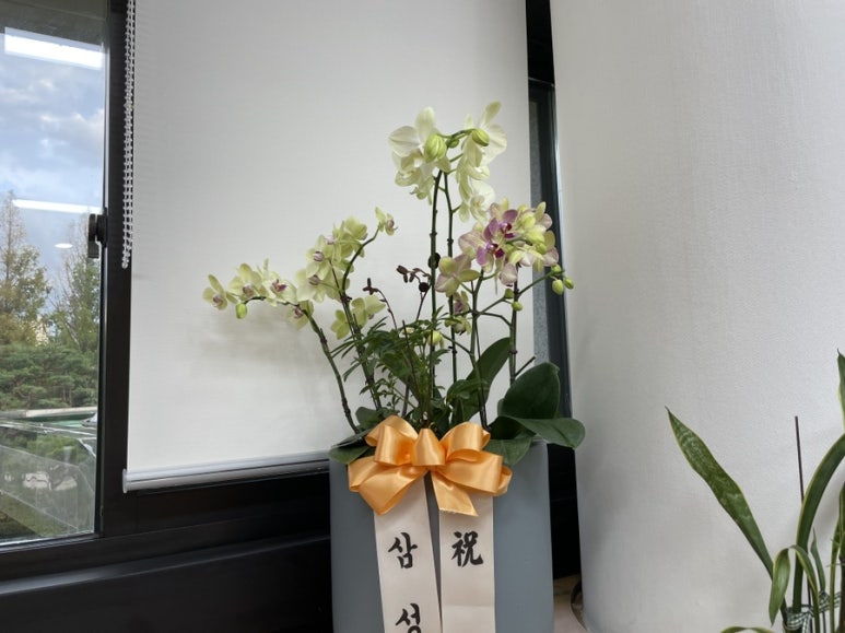 예당화원 이미지