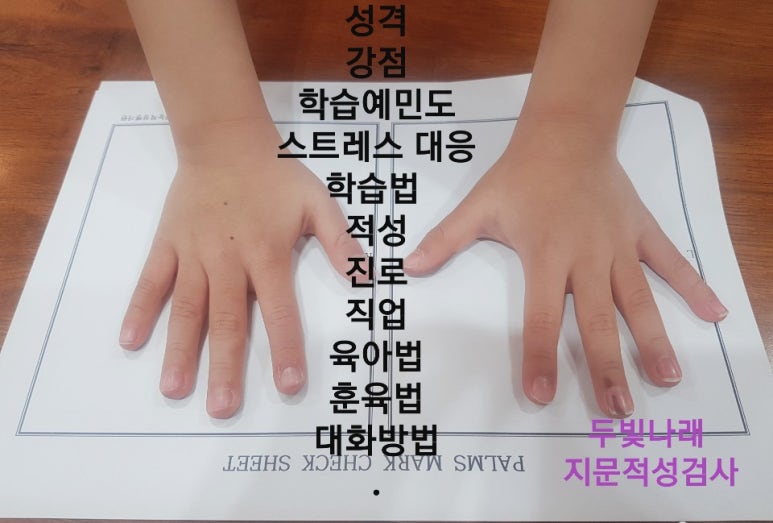 한국다중지능적성평가원 이미지