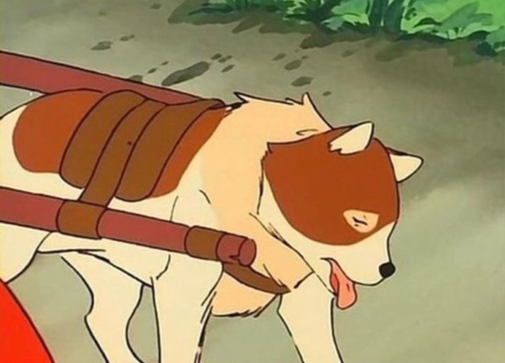 파트라슈 이미지