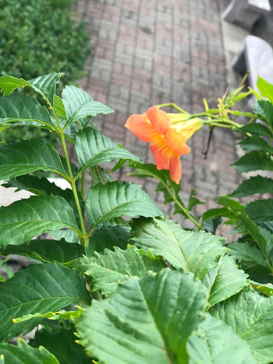 지아이정보통신 이미지