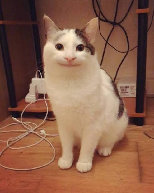 리디자인하우스 이미지