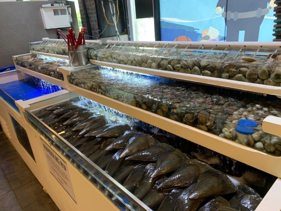 뽑기맛집 이미지
