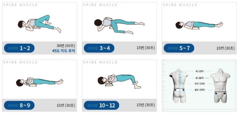 척추근육강화기 이미지