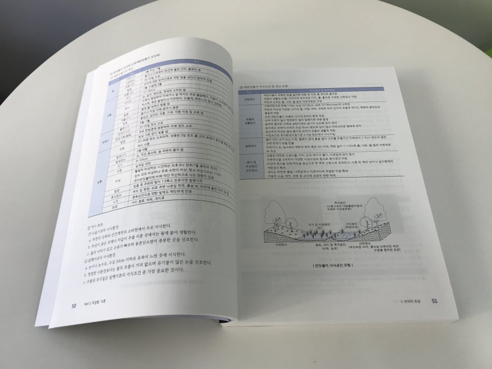 성운환경 이미지