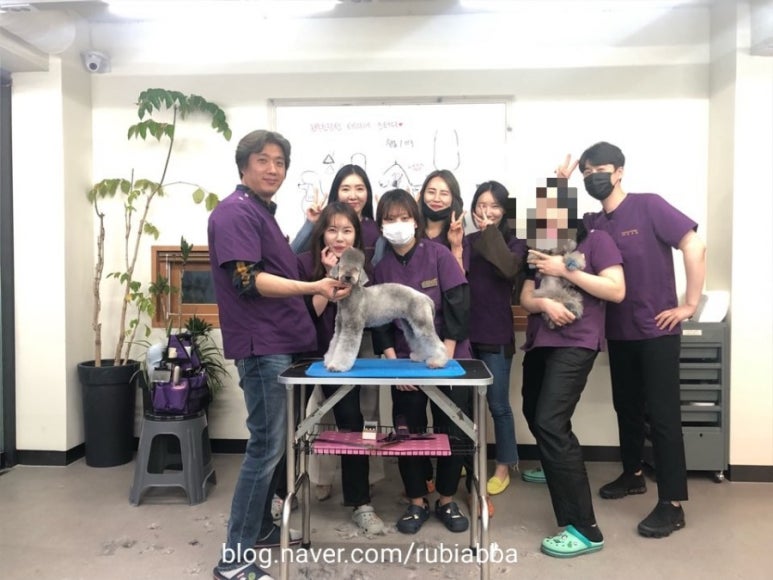 바닐라애견미용학원 이미지