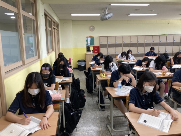 더드림컴퍼니 이미지