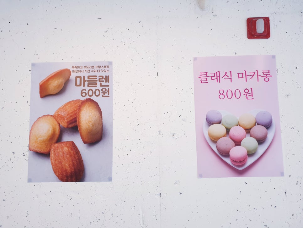 쿠마카롱 이미지
