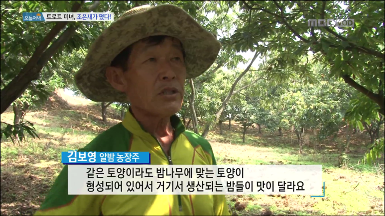 공주알밤농원 이미지