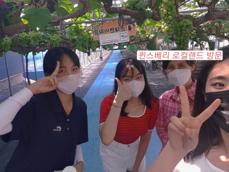 법인로컬랜드 이미지