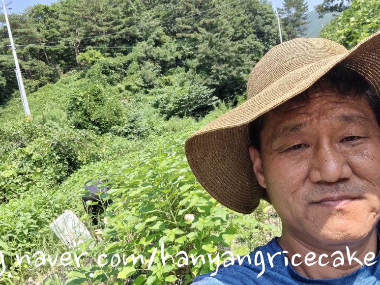 꿀비떡방앗간 이미지