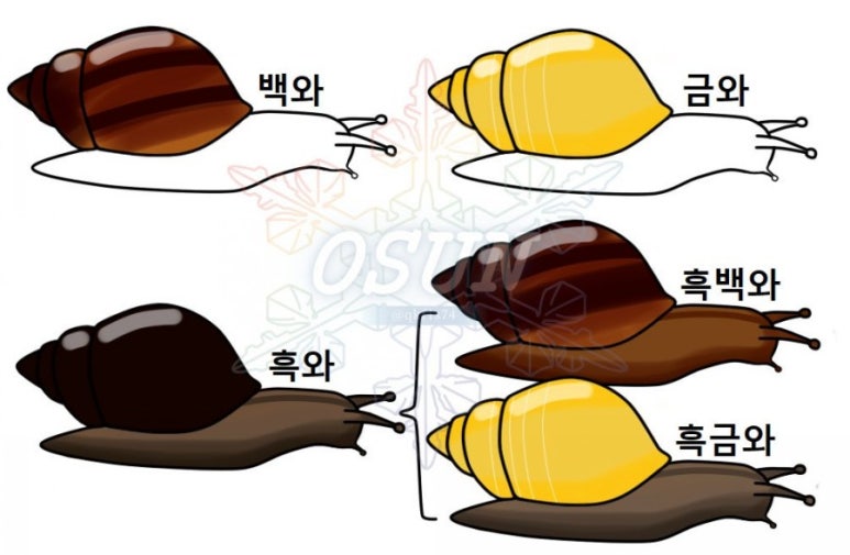 방달팽이 연구소 이미지