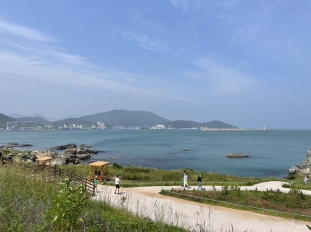 비장한장어 이미지