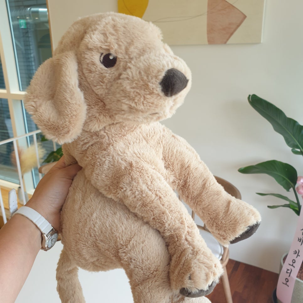 카페 로히 이미지