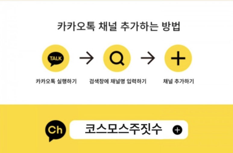 코스모스 오아시스 이미지