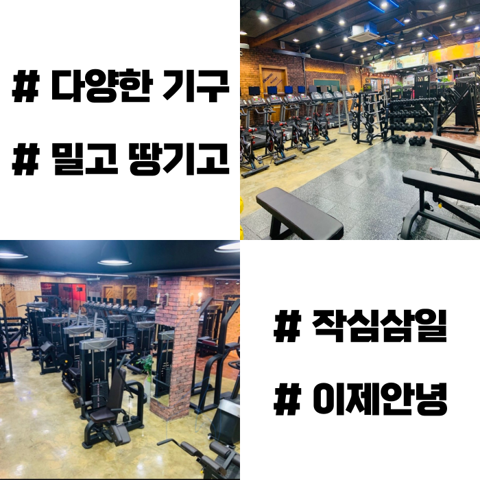 밀땅 이미지