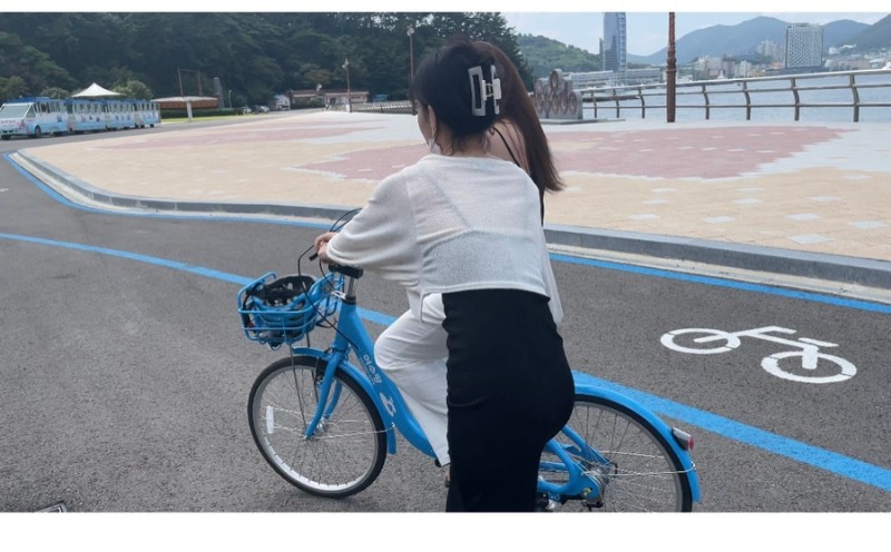 노랑고래 이미지