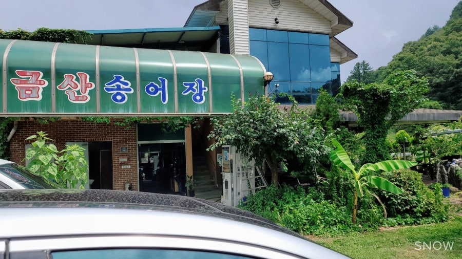 금산송어장 이미지