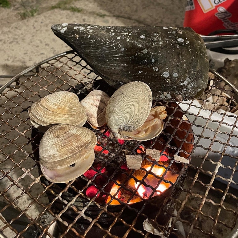 불티나수산 이미지