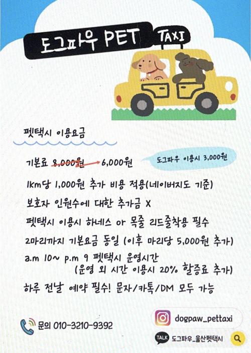 도그파우 이미지