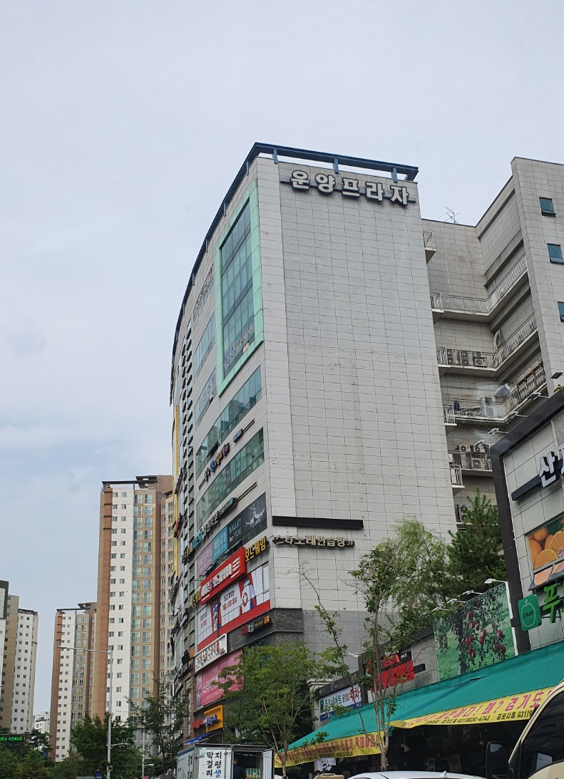 연세엘치과 이미지