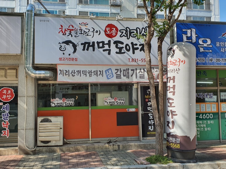 지리산꺼먹돼지 이미지