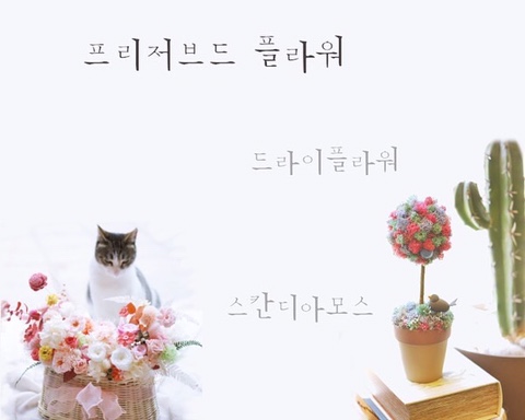달플로랄디자인 이미지