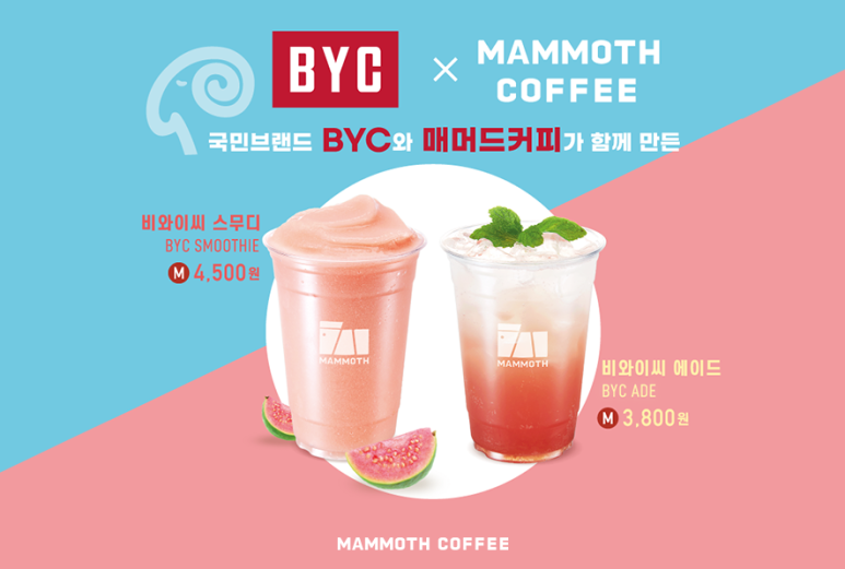 비와이씨 이미지