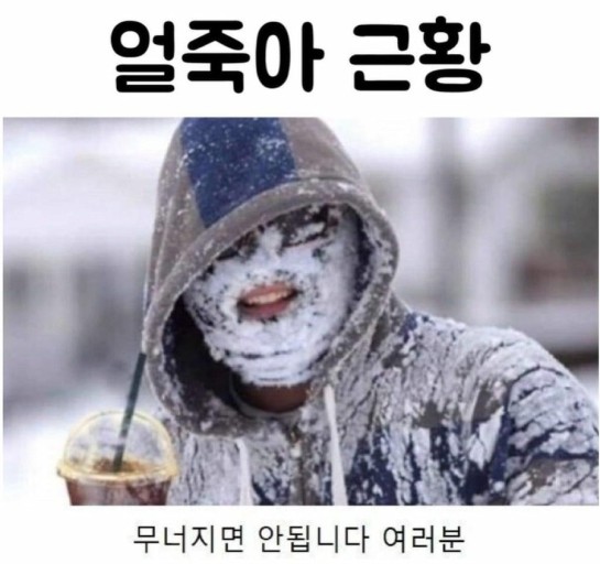 샐러루 이미지