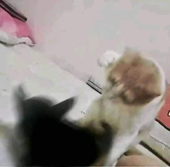 빵이야기 이미지