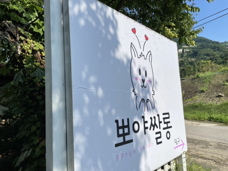 민아살롱 이미지