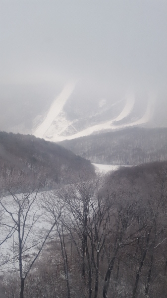 시대용역(주) 이미지