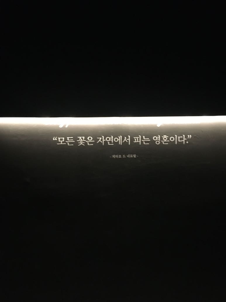 파우자 이미지