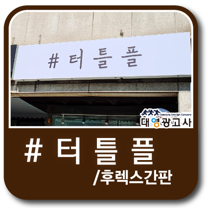 터틀플 이미지