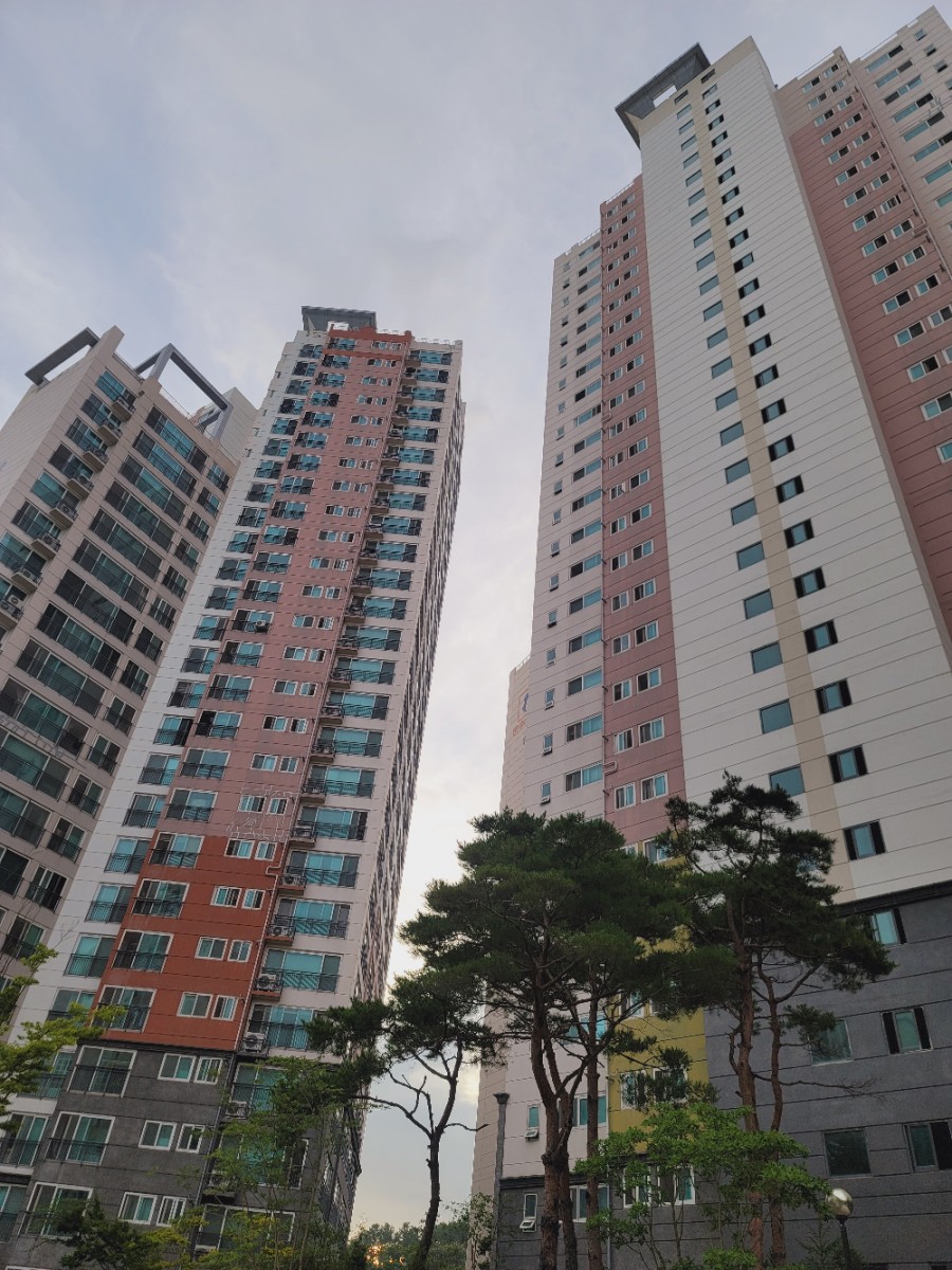한국약선차꽃차연합회 이미지