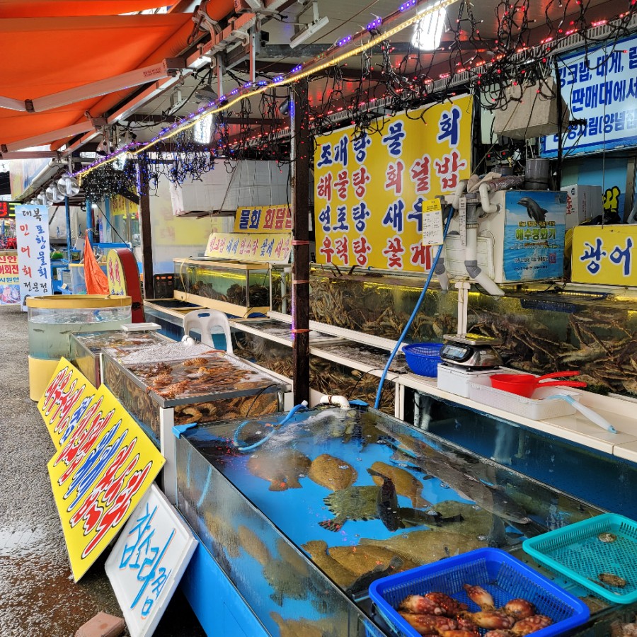 연세스타수산 이미지