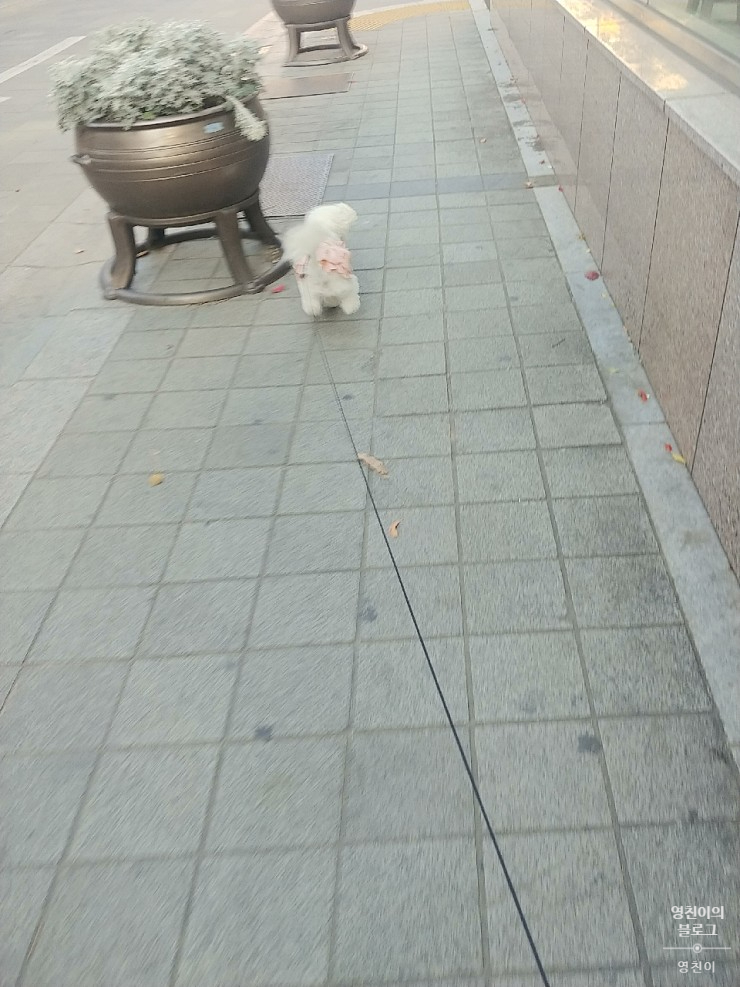 청려원 이미지