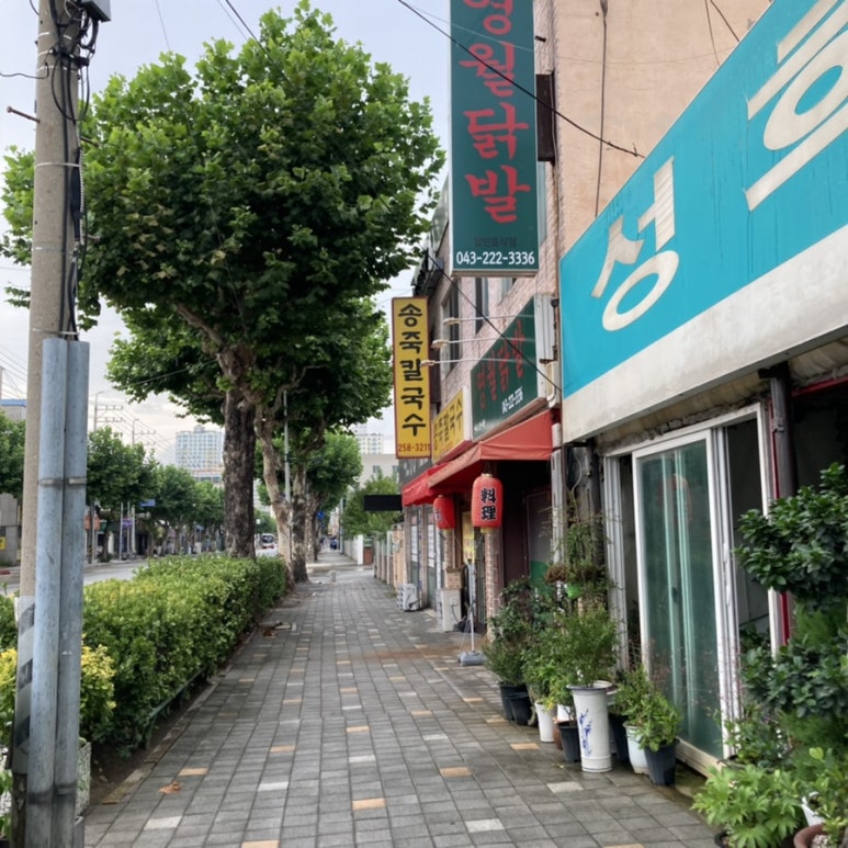송죽칼국수 이미지