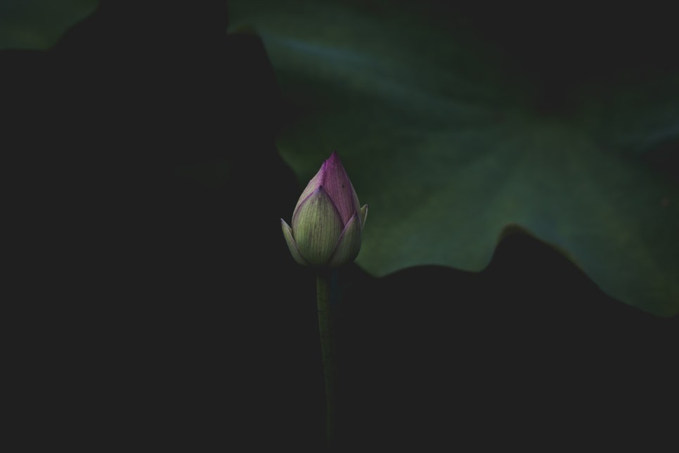 이장근 이미지
