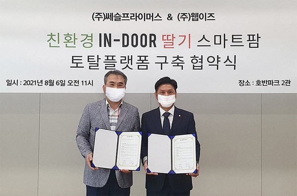 ㈜웹이즈 이미지